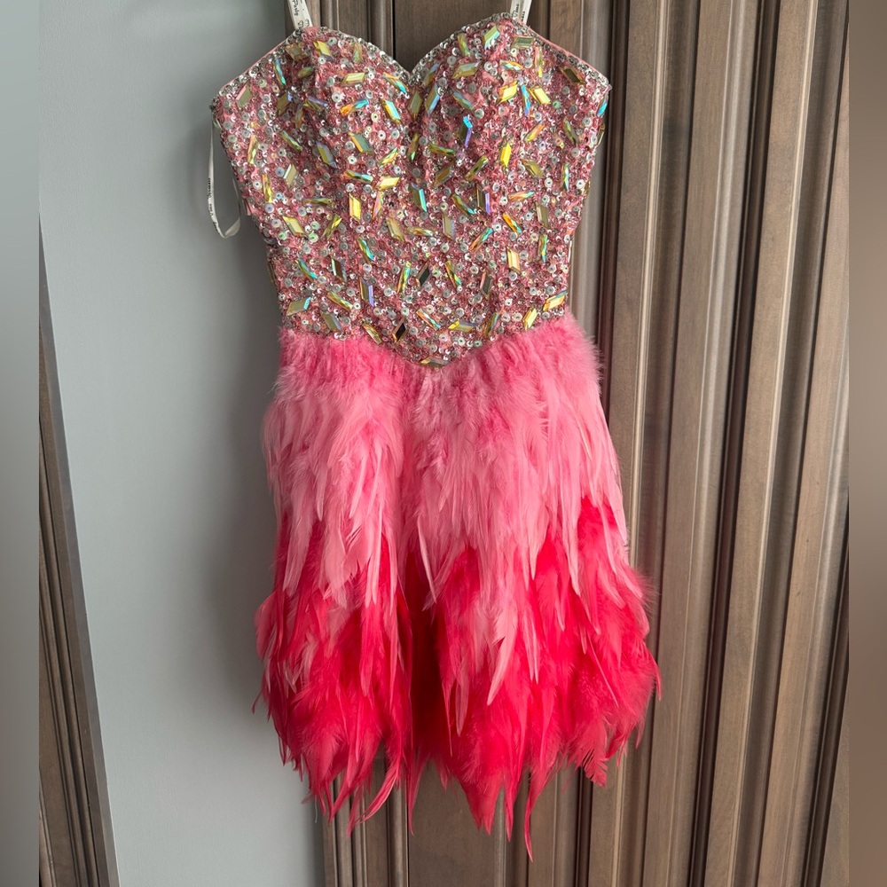 Party time Pink Beaded Feather Skirt Dress